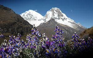 Paquetes Turísticos Huaraz