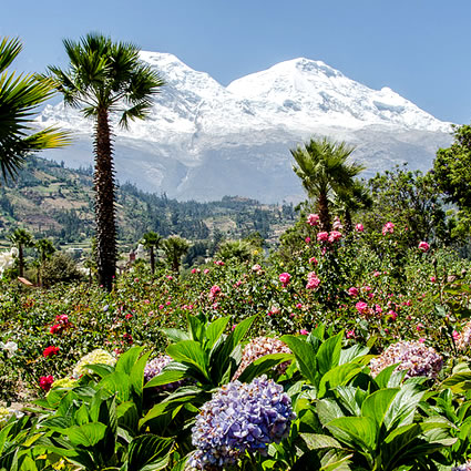 Paquetes Turísticos Huaraz